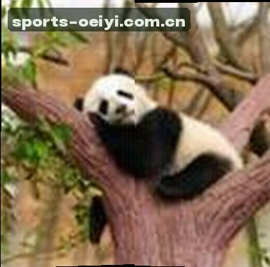 李铭